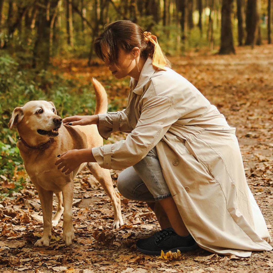 Steinblume Barfußschuhe Canvas